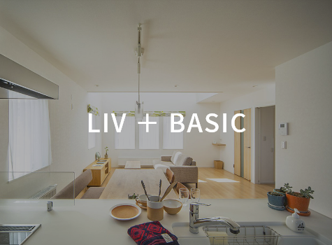LIV + BASIC